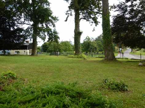 Altmarrin