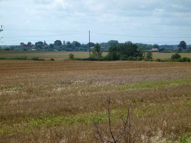 Lenzen2
