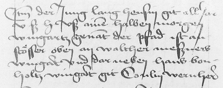 tax record, stock book Großheppach, 1481